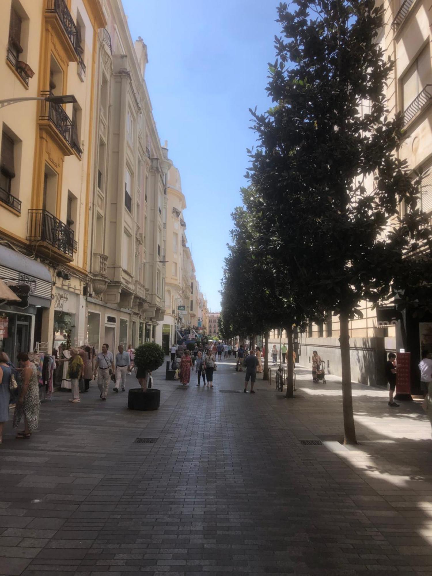 Apartamento En El Centro Totalmente Climatizado, Parking Gratuito Cordova Esterno foto